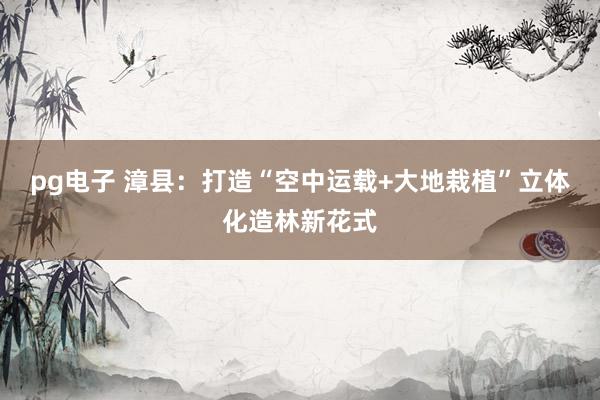 pg电子 漳县：打造“空中运载+大地栽植”立体化造林新花式