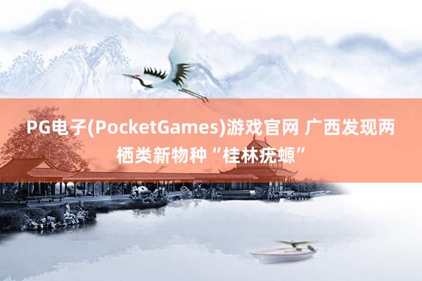 PG电子(PocketGames)游戏官网 广西发现两栖类新物种“桂林疣螈”