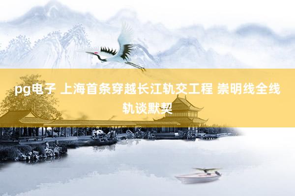 pg电子 上海首条穿越长江轨交工程 崇明线全线轨谈默契
