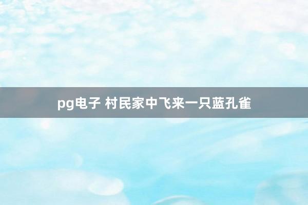 pg电子 村民家中飞来一只蓝孔雀