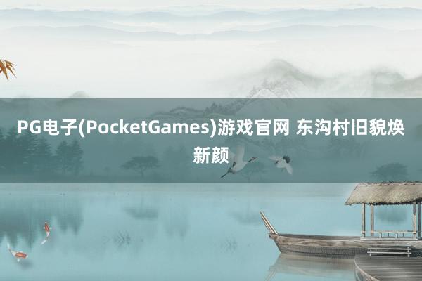PG电子(PocketGames)游戏官网 东沟村旧貌焕新颜