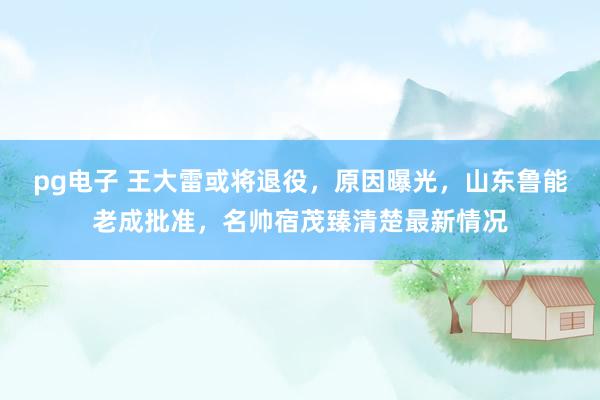 pg电子 王大雷或将退役，原因曝光，山东鲁能老成批准，名帅宿茂臻清楚最新情况