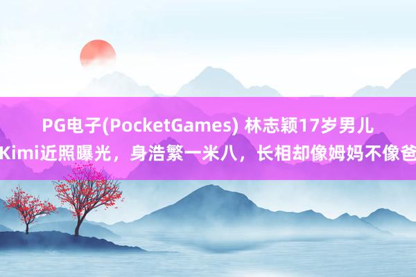 PG电子(PocketGames) 林志颖17岁男儿Kimi近照曝光，身浩繁一米八，长相却像姆妈不像爸
