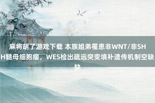 麻将胡了游戏下载 本族姐弟罹患非WNT/非SHH髓母细胞瘤，WES检出疏远突变填补遗传机制空缺