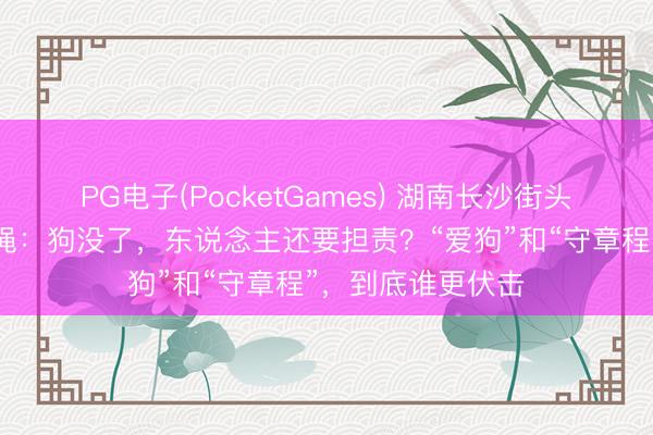 PG电子(PocketGames) 湖南长沙街头一条没系的牵引绳：狗没了，东说念主还要担责？“爱狗”和“守章程”，到底谁更伏击