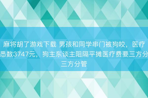 麻将胡了游戏下载 男孩和同学串门被狗咬，医疗费悉数3747元，狗主东谈主阻隔平摊医疗费要三方分管